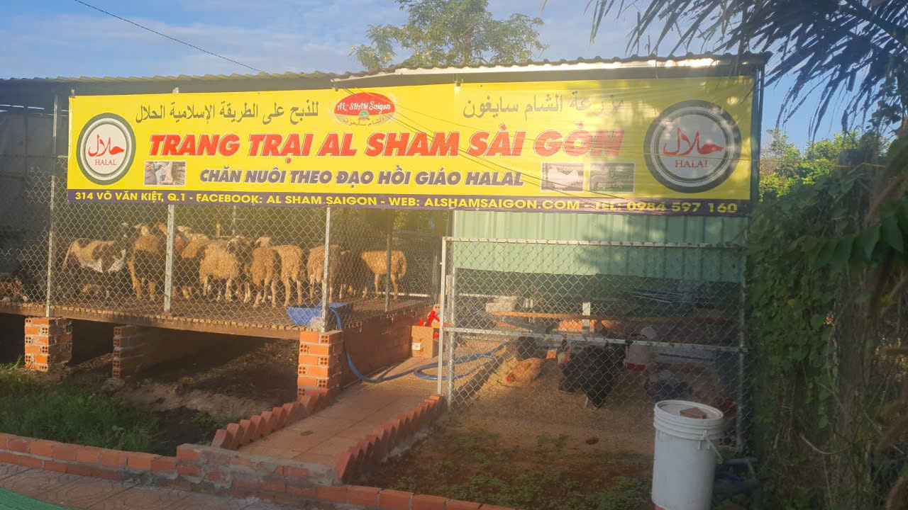NÔNG TRẠI 
