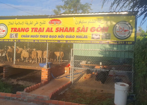 NÔNG TRẠI 